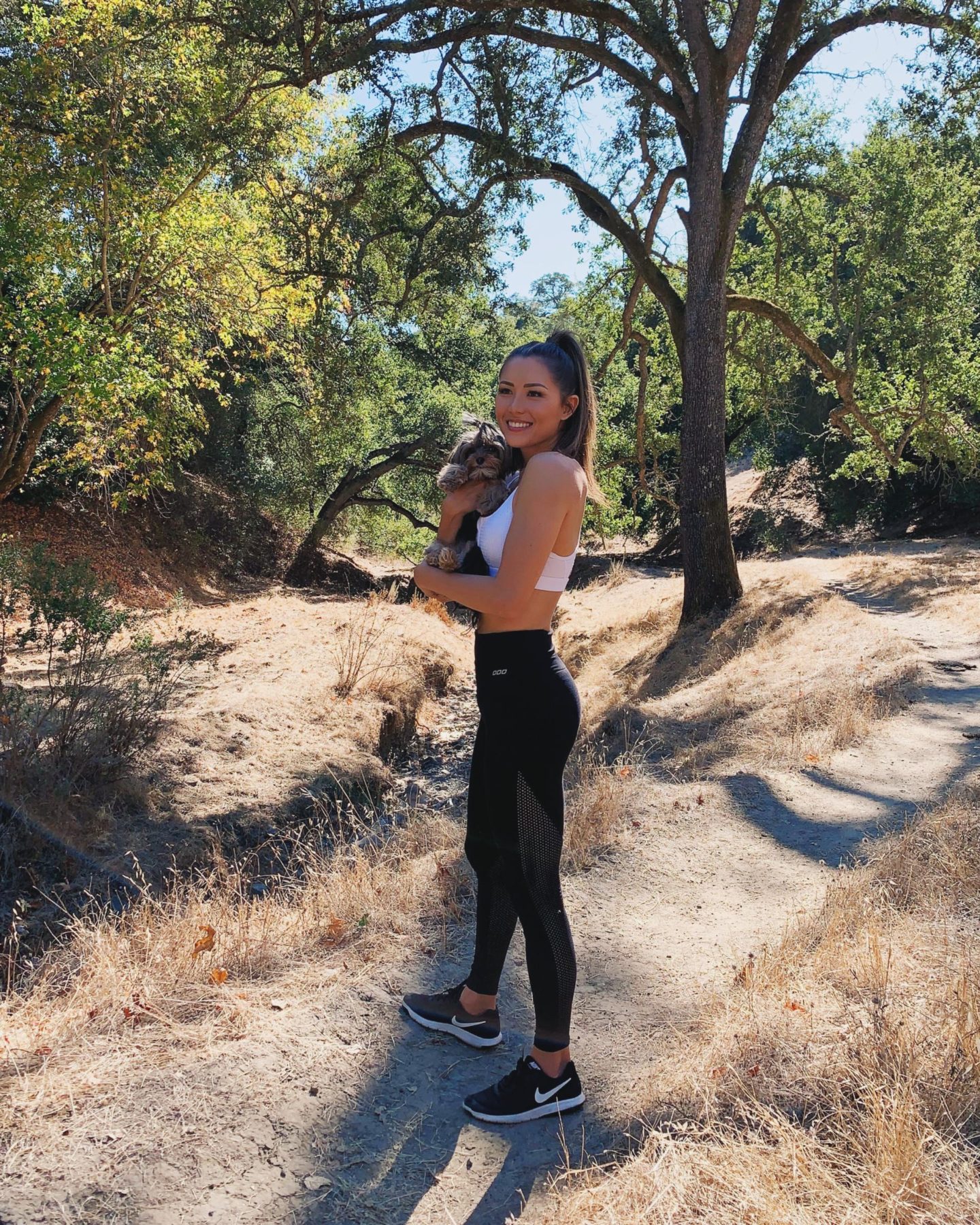 Favorite High Quality  +  On Trend Workout Brands
