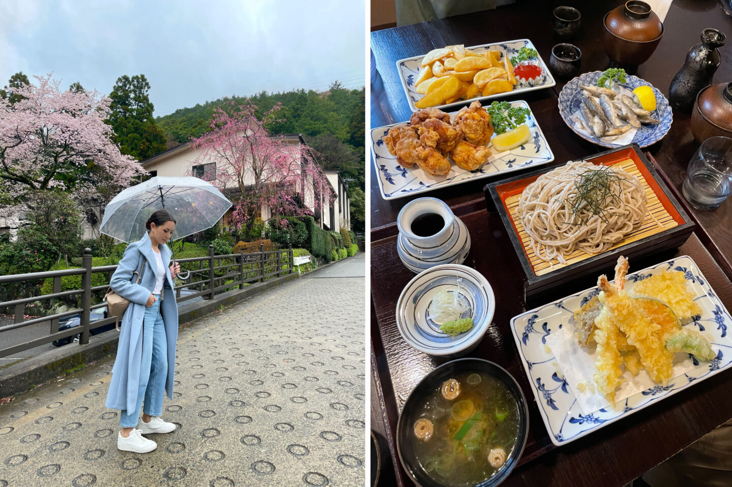 Outside Hakone Yuryo, and the food we ordered at the restaurant in Hakone Yuryo